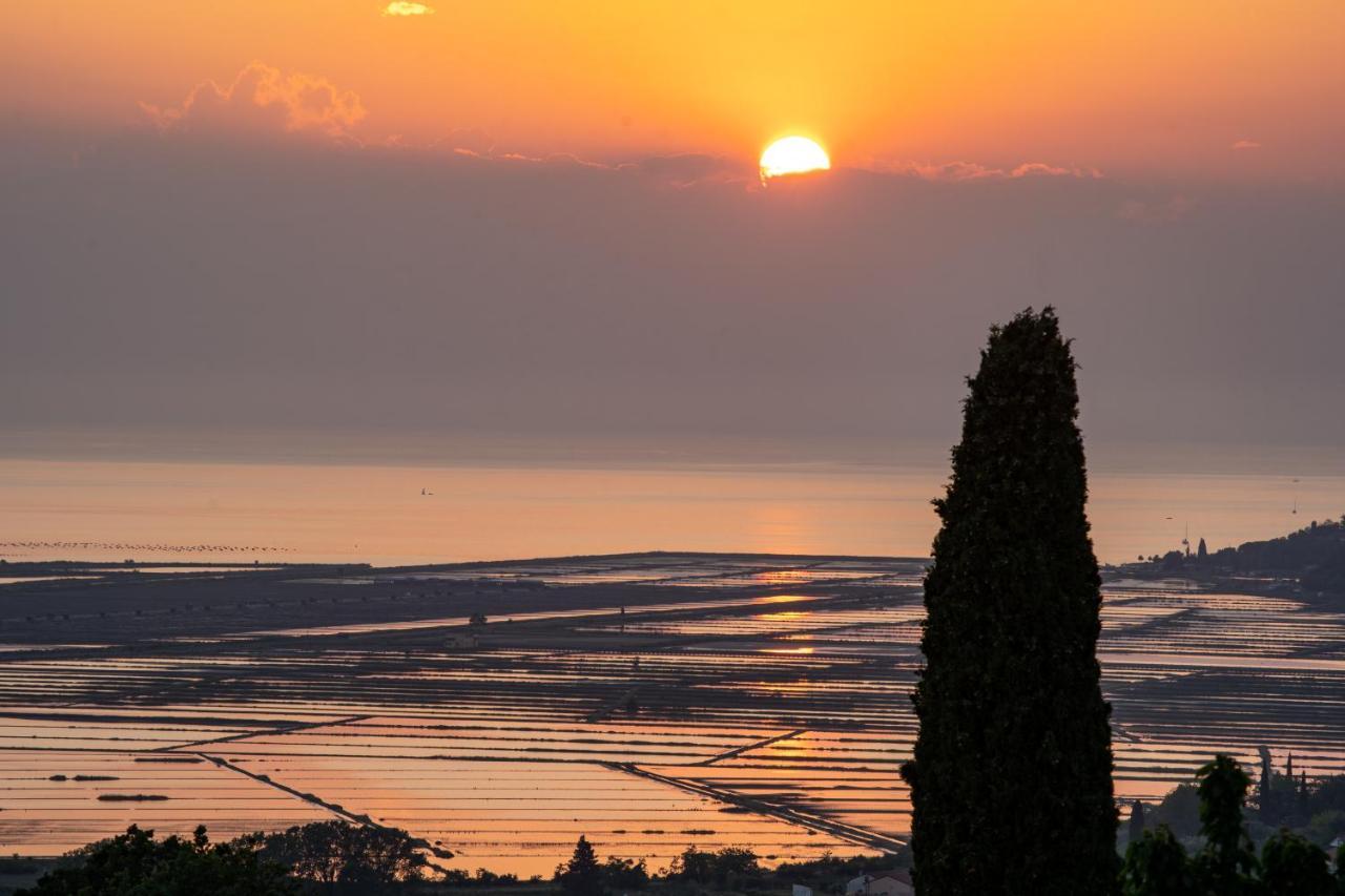 Vila Casa Coronica Sečovlje Exteriér fotografie